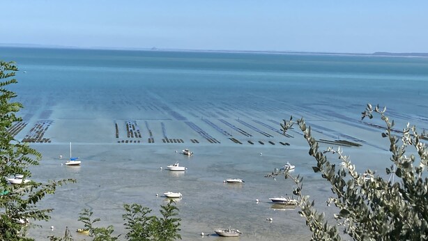 Uma área costeira com barcos ancorados em águas calmas, sob um céu claro.