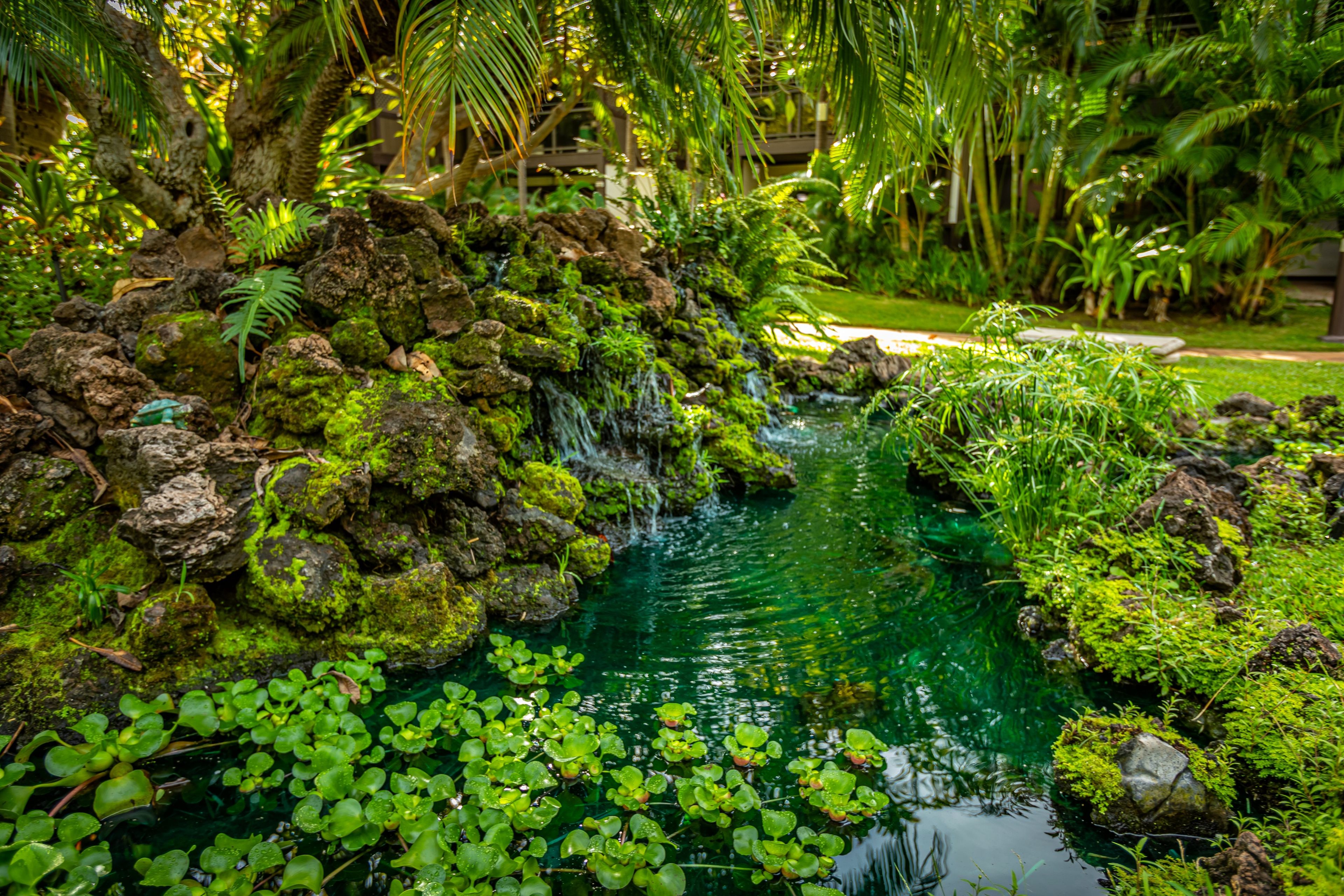 Un jardín tranquilo con una pequeña cascada, abundante follaje y un estanque limpio rodeado de rocas y plantas acuáticas.