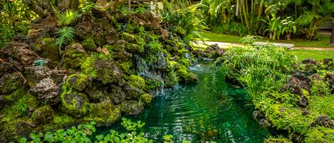 A tranquil garden with a small waterfall, lush greenery, and a clear pond surrounded by rocks and aquatic plants.