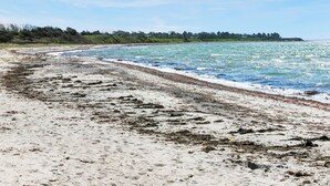 A beach with a sandy shore and a clear view of the ocean.