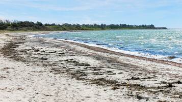 Tæt på stranden, fiskeri