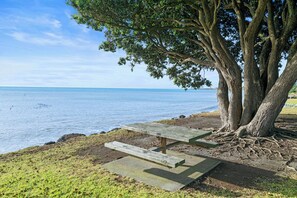 Un banco de madera bajo un árbol grande junto a una playa, con cielo despejado.
