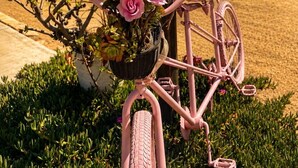 A wooden signpost with directional signs, a pink bicycle, and a basket of flowers. - VALLE LIFE (Valle de Guadalupe)