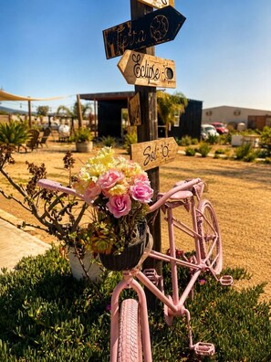 A wooden signpost with directional signs, a pink bicycle, and a basket of flowers. - VALLE LIFE (Valle de Guadalupe)