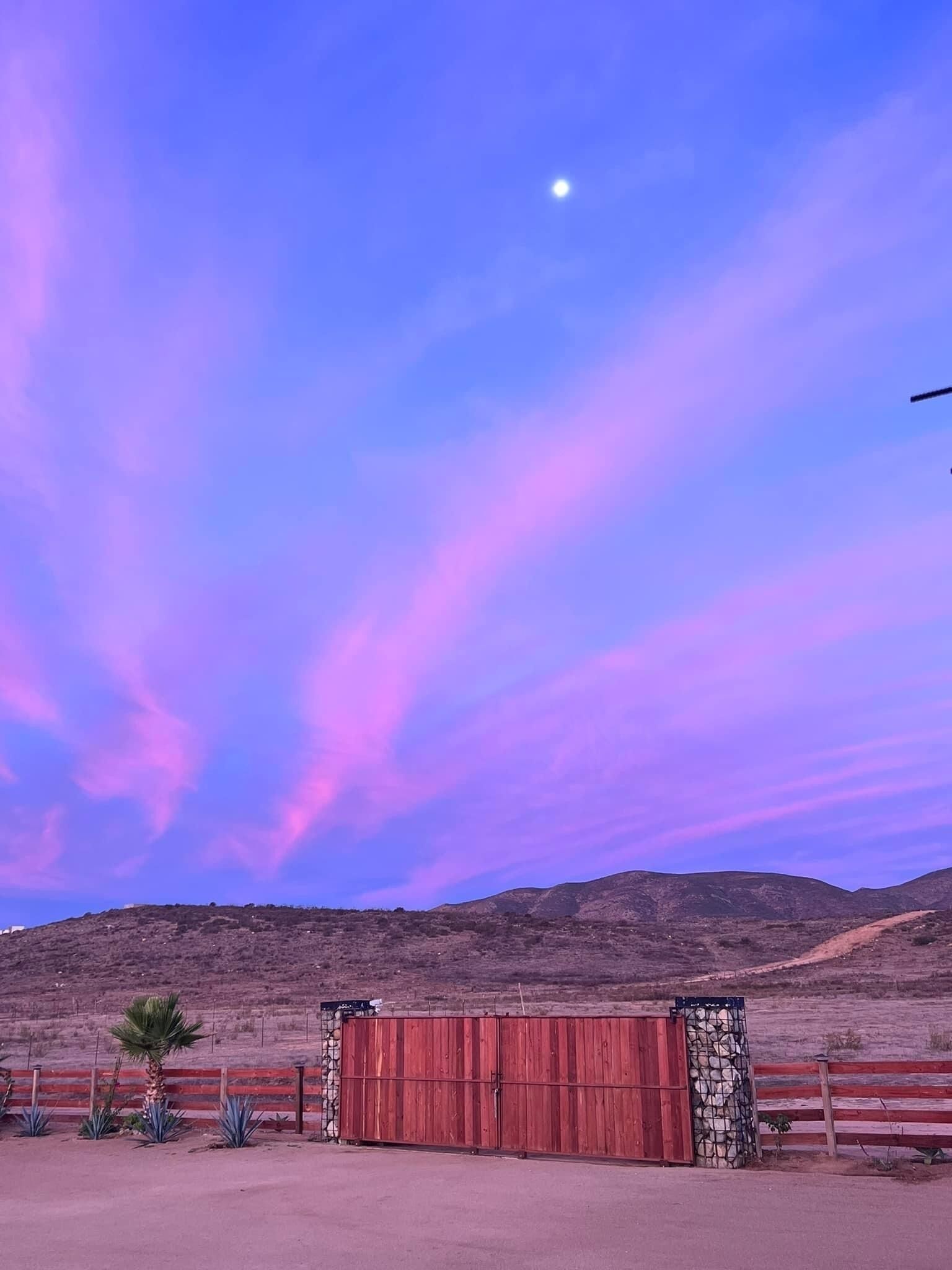 A red gate with a stone wall, a palm tree, and a desert landscape under a purple sky.