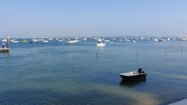 Un port de plaisance où de nombreux bateaux sont amarrés, et une jetée sur laquelle se trouve une personne.