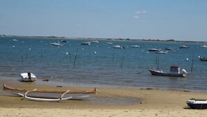 Une plage où plusieurs bateaux sont amarrés dans l’eau et quelques-uns sont à terre, sur le sable.