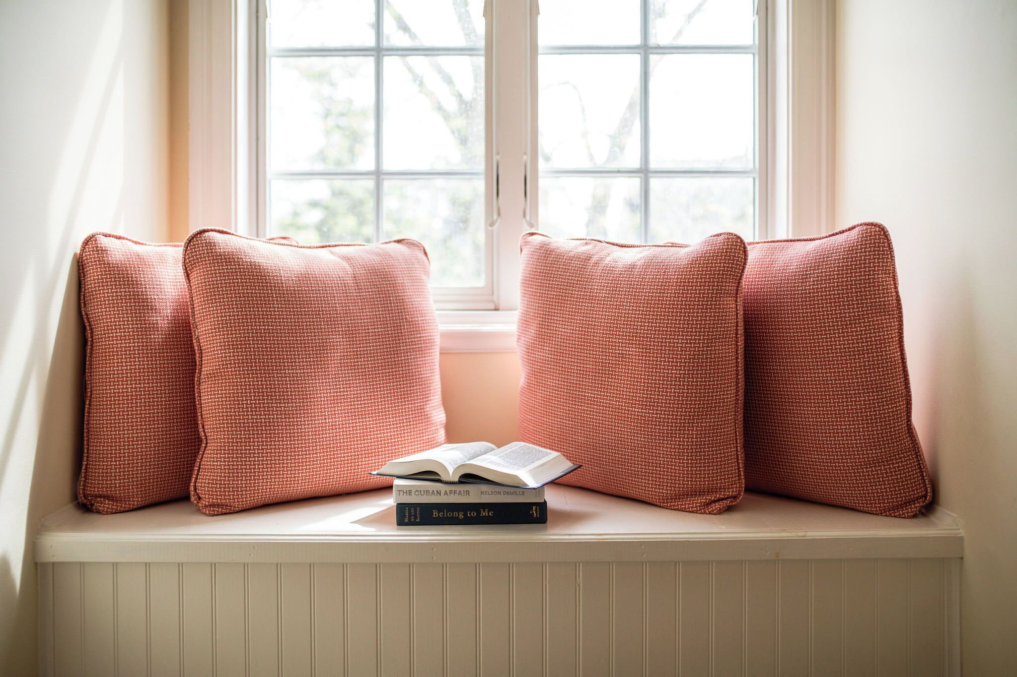 A window seat with two pillows and two books.