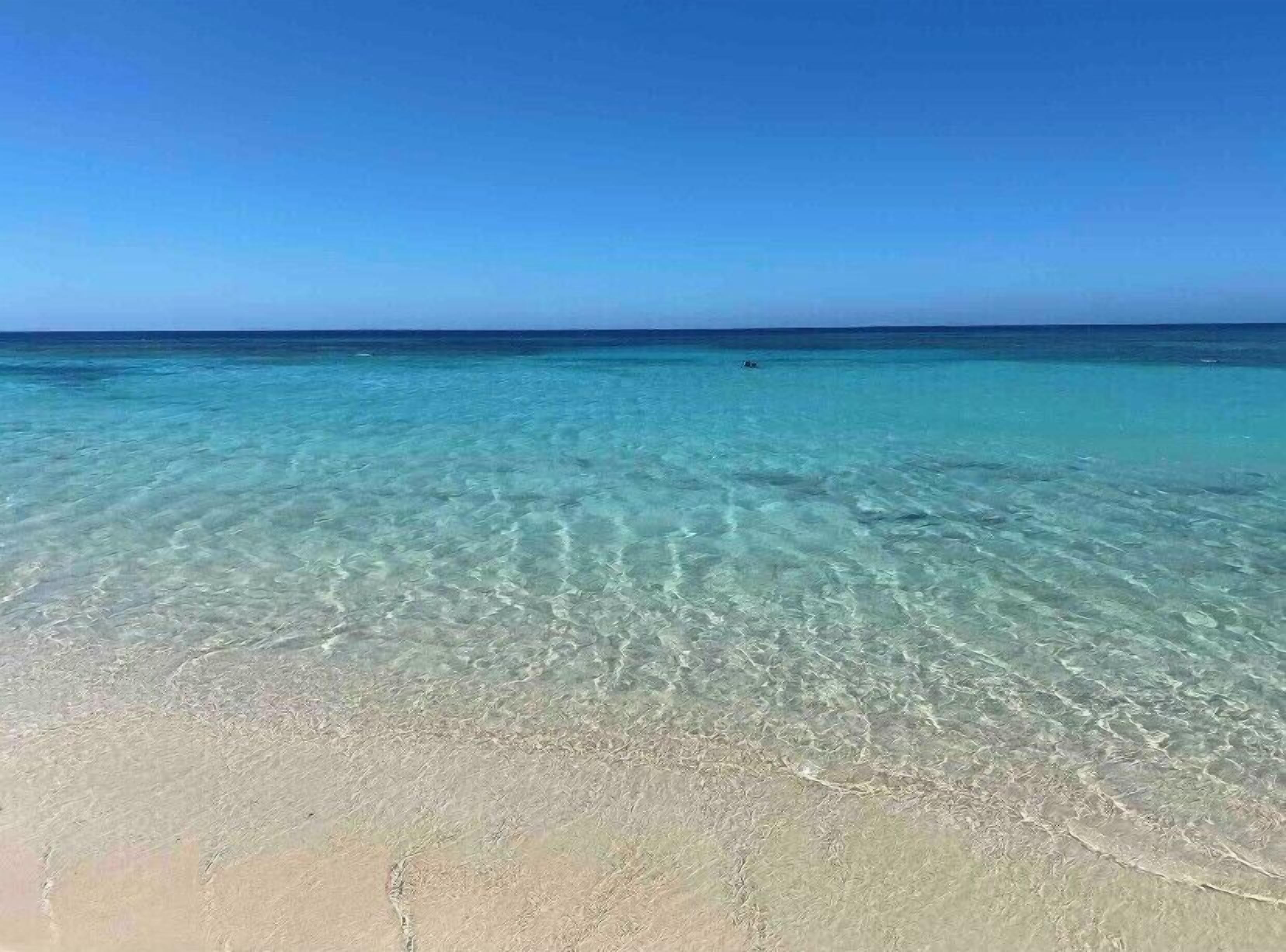 ビーチの近く、サンラウンジャー、ビーチタオル