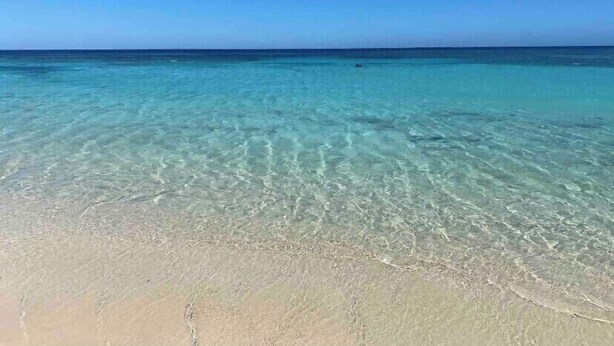 On peut clairement voir une plage avec une eau turquoise peu profonde et un rivage sablonneux.