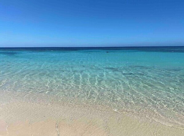 Plage à proximité, chaises longues, serviettes de plage