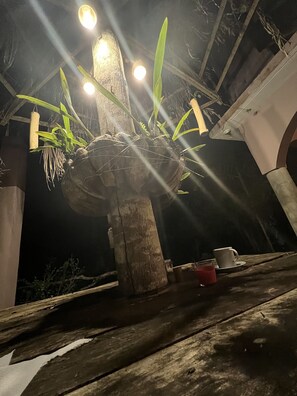 A rustic interior with a wooden table, a hanging plant, and a cup. - Music in the Green Ranch (petersfields)