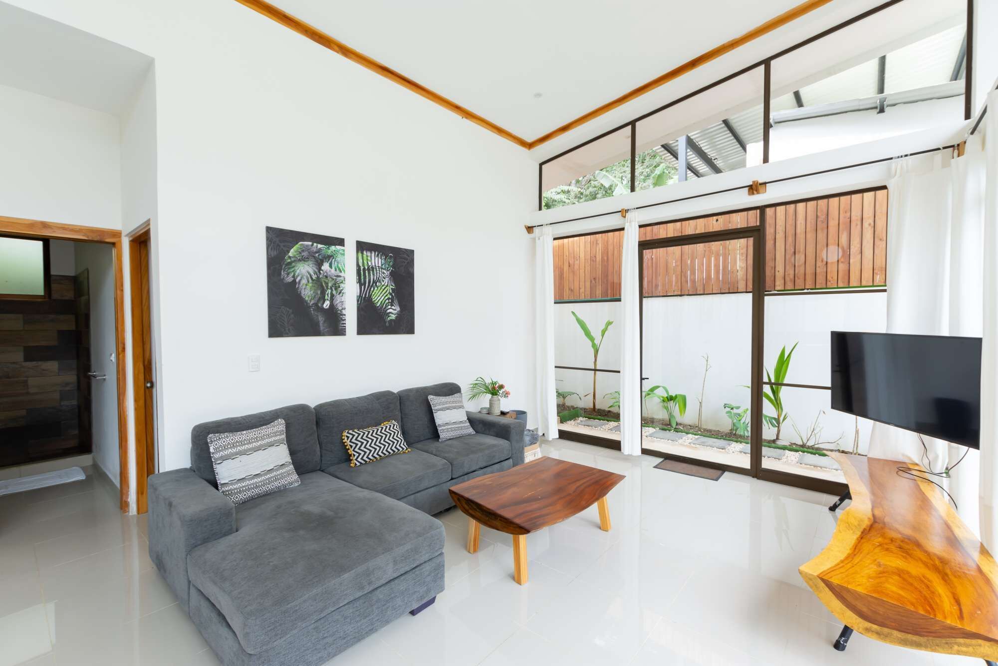 Televisio, kirjoja, videokirjasto