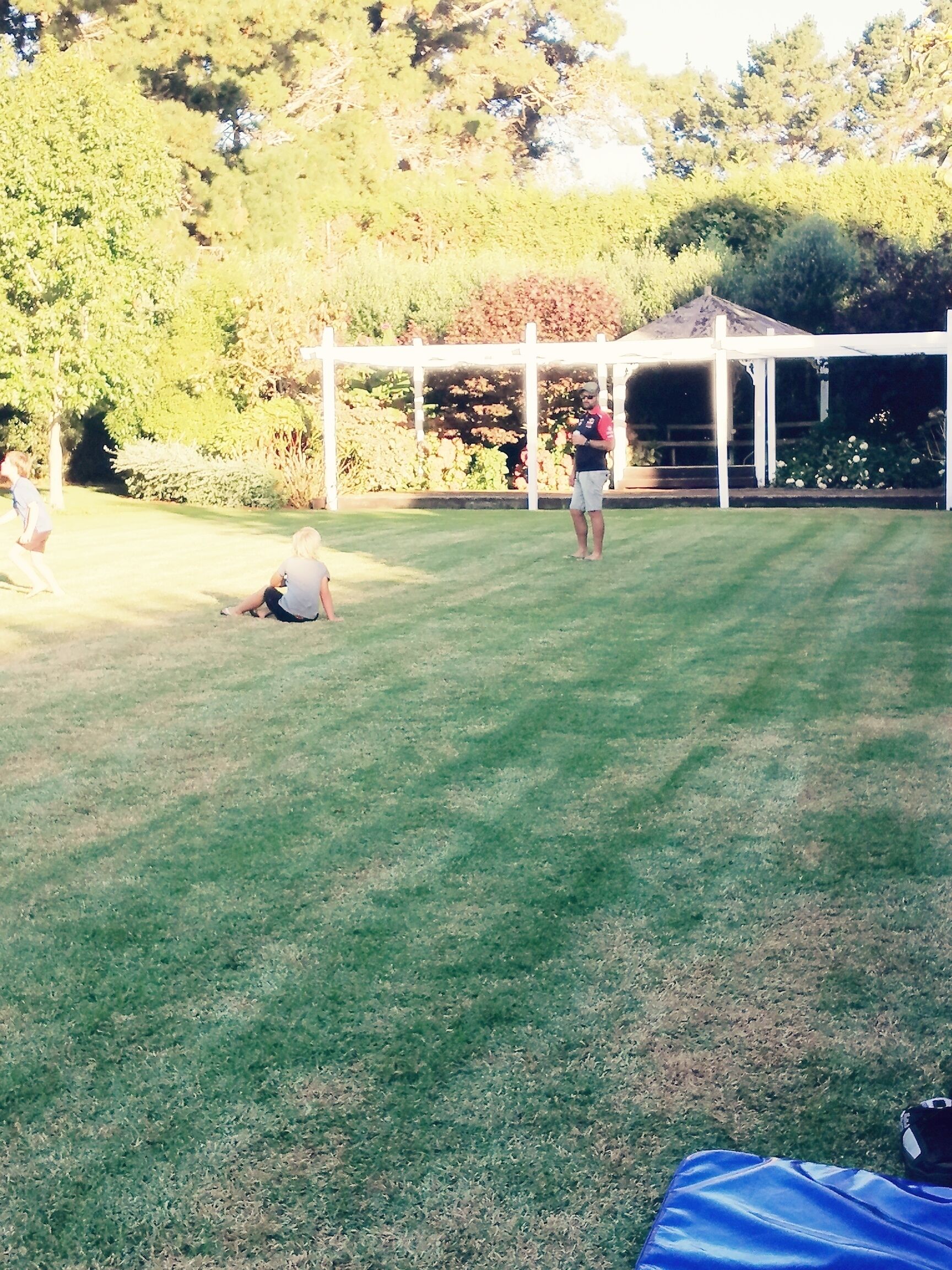 Terrain de sport
