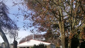 A house with a gravel driveway, surrounded by trees and shrubs. - Spacious Garden Cottage w/ woodburner (Waitara)