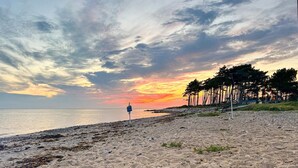 Una playa con una persona caminando, árboles y un atardecer.