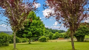 Un champ herbeux avec des arbres et un bâtiment situé au loin.