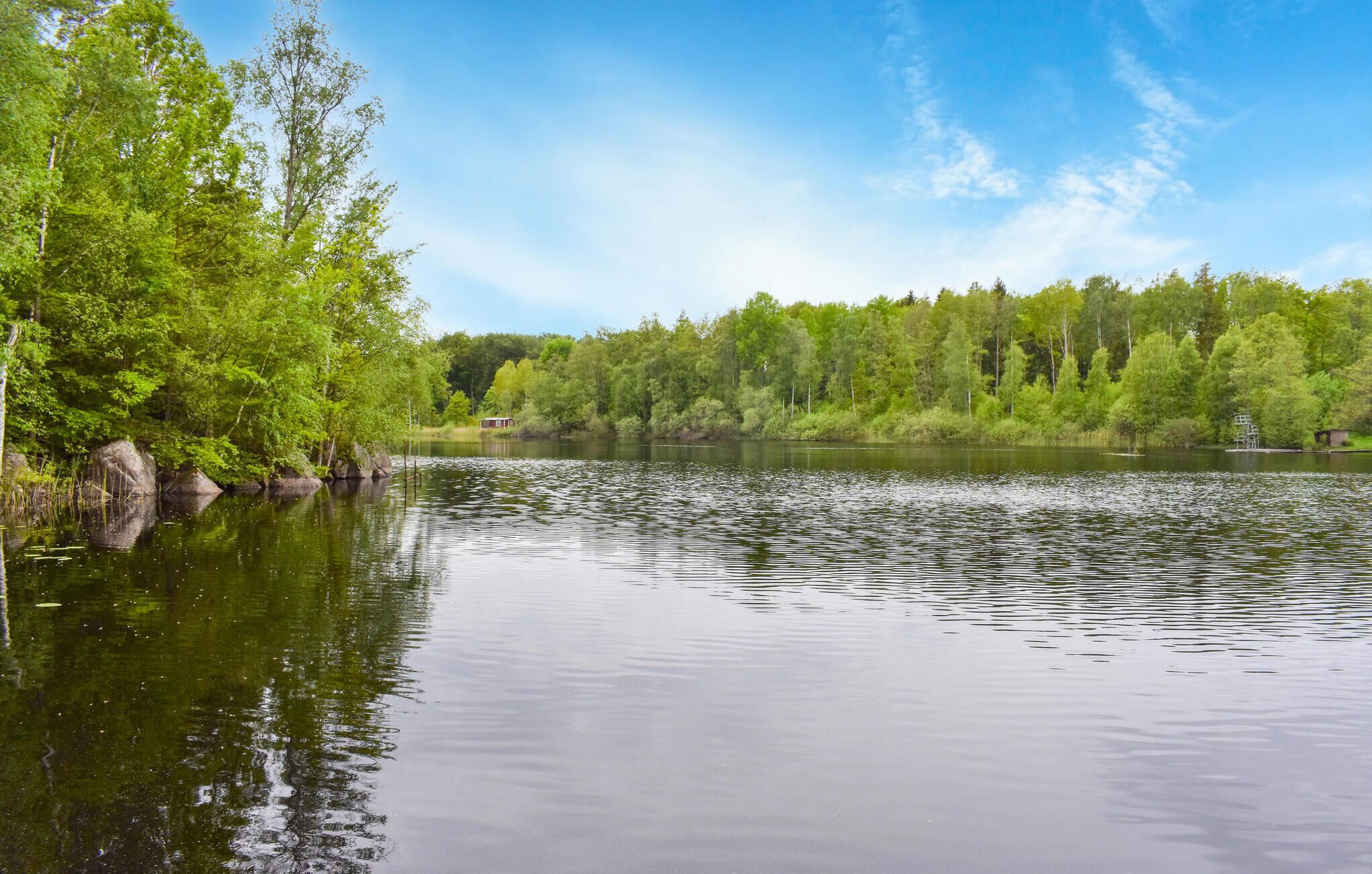 Een kalm meer omringd door weelderige groene bomen en een helderblauwe lucht.
