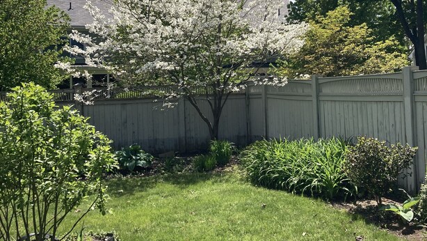 Un giardino sul retro con un recinto bianco, un albero con fiori bianchi e diverse piante verdi.