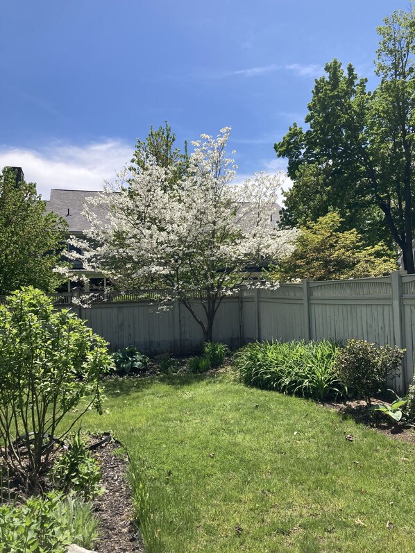 Terrain de l’hébergement 