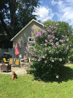 Terrain de l’hébergement 