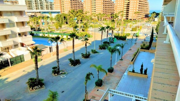 Un patio de hotel con palmeras, una piscina y edificios altos al fondo.