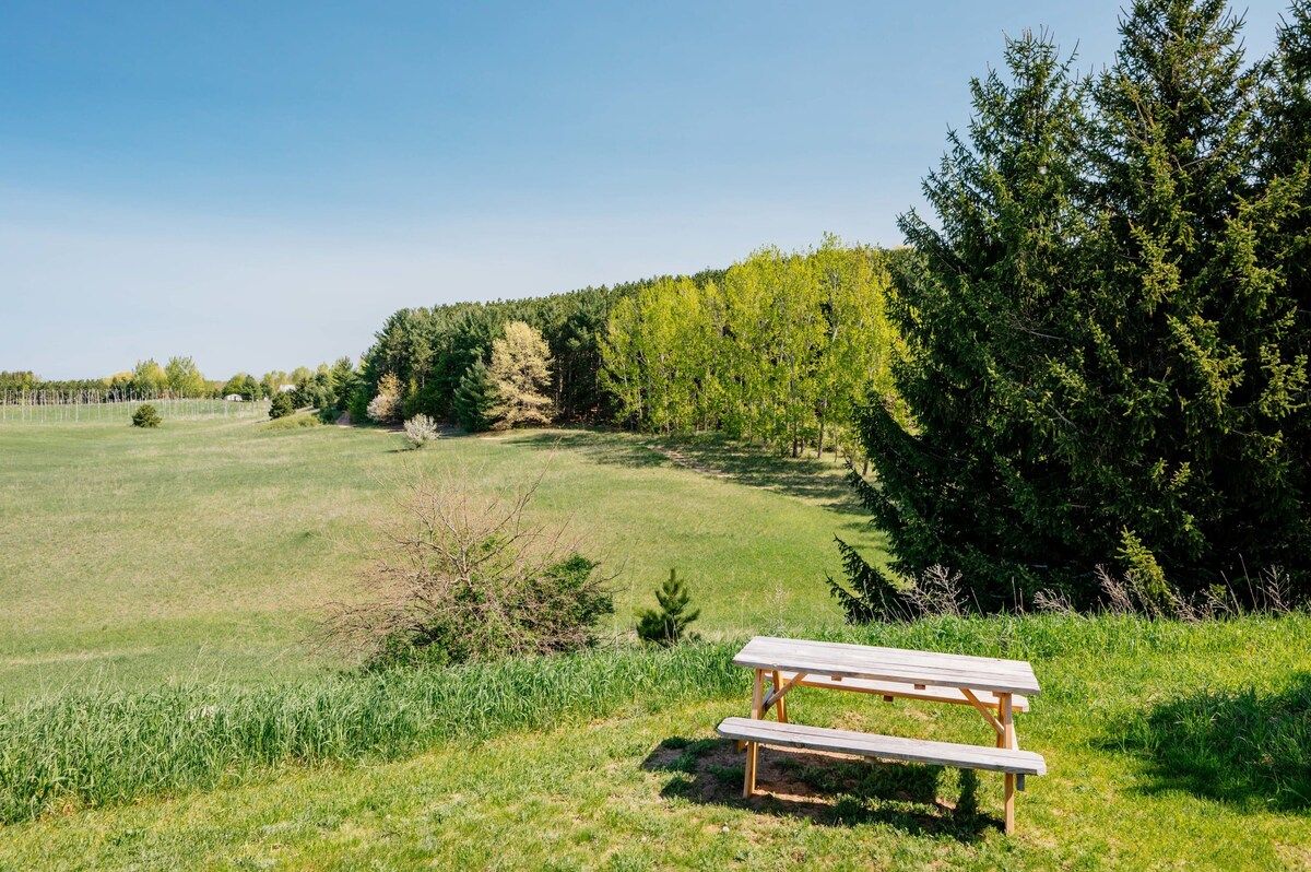 Ein Picknicktisch in einer grünen Wiese mit Bäumen im Hintergrund.