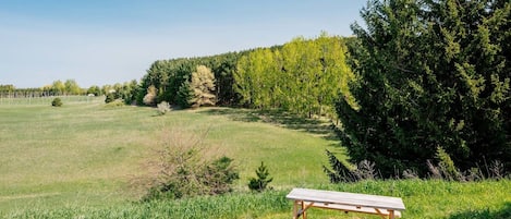 A picnic table in a grassy field with trees in the background.