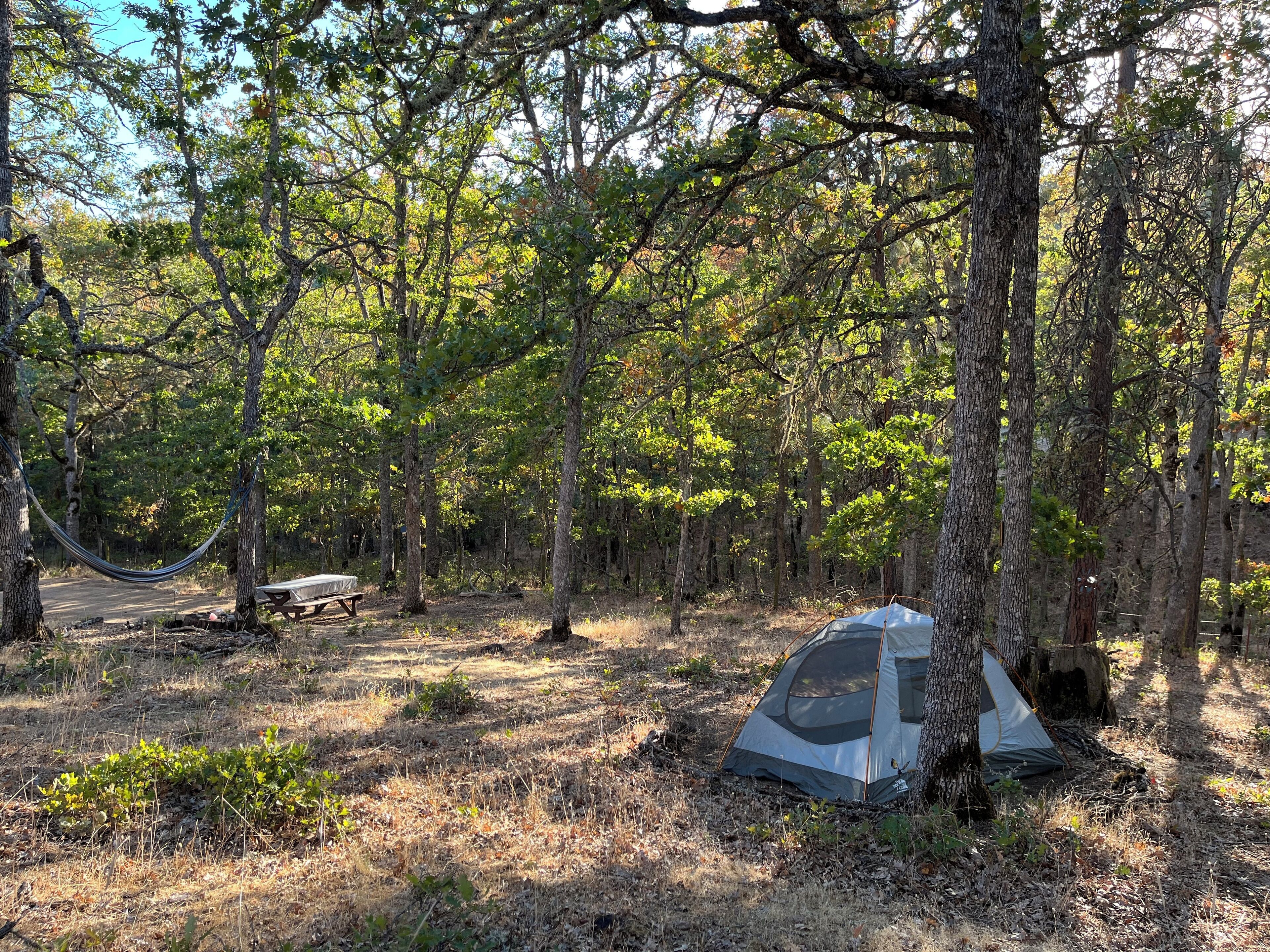 WaterOak Campsite at the Garden of Eden