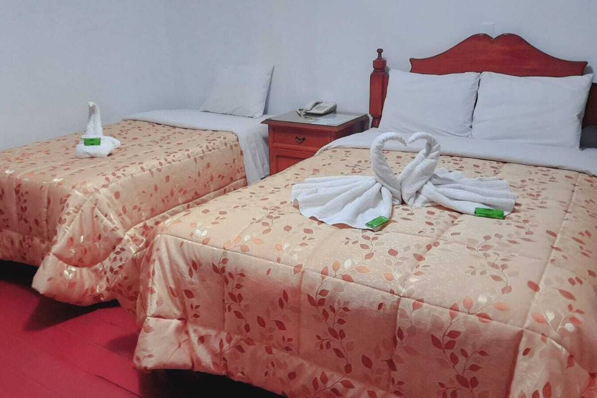 Two single beds with floral bedspreads, a wooden headboard, a bedside table with a phone, and a red carpet.