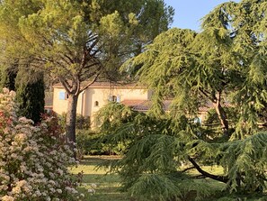 Terrein van de accommodatie