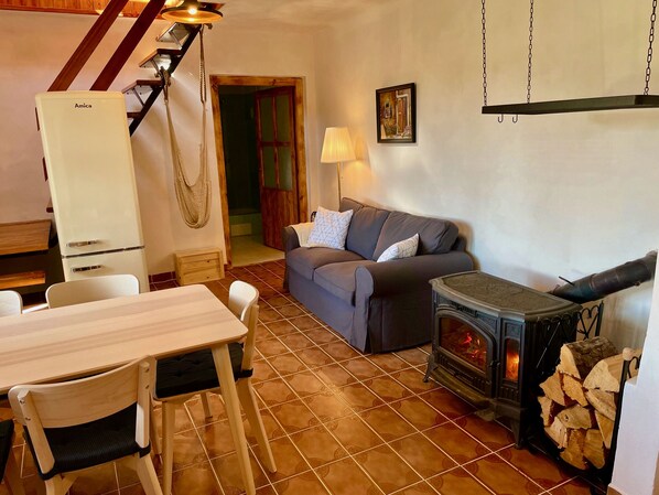 Smart-TV, Kamin