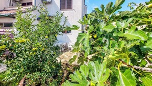 A residential building with a balcony, a fig tree in the foreground, and a clear blue sky. - Vacation home Ante by Interhome (Brodarica)
