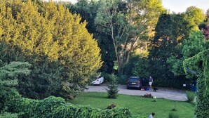 Un quartier résidentiel avec une allée, des voitures garées et une personne promenant un chien.