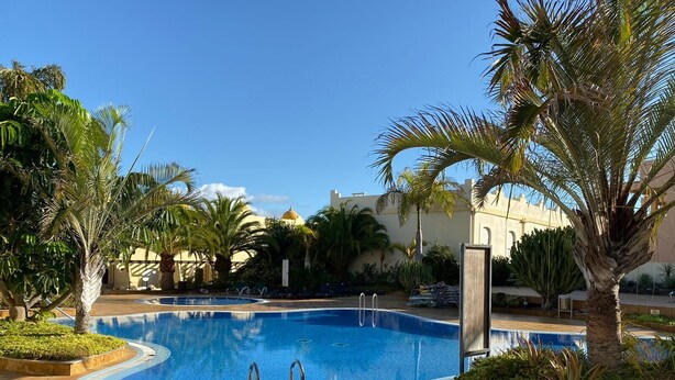 Una piscina circondata da palme e un edificio con una cupola.