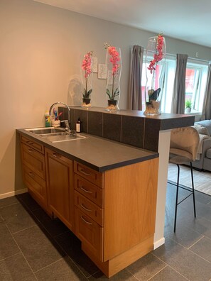 Apartment | Private kitchen