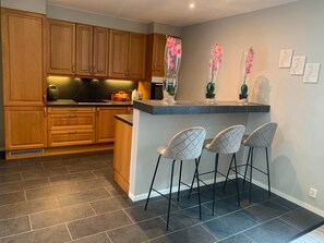 Apartment | Private kitchen - Notodden Sentrum Apartment NO 8 (Notodden)