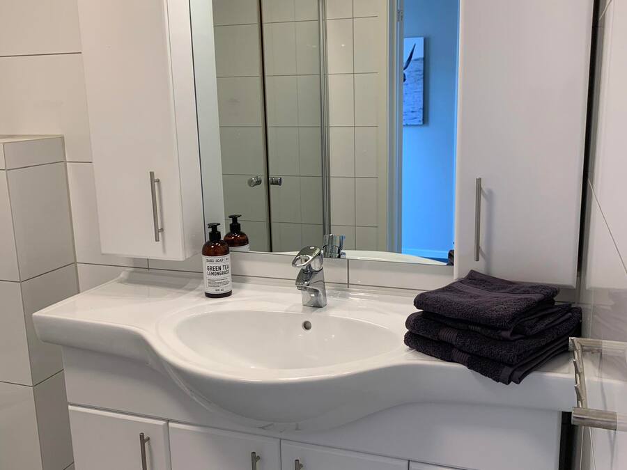 Un baño moderno con un lavabo blanco, un espejo y una ducha a la vista al fondo.