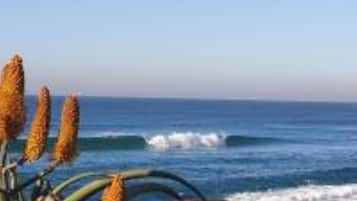 근처 해변, 비치 타월