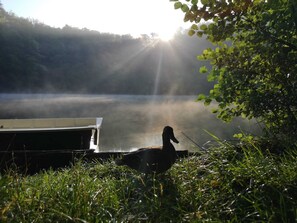 Miscellaneous - Holiday cabin right on the lake (Dermbach OT Urnshausen)