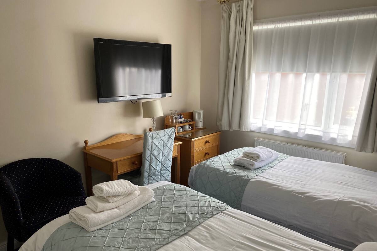 Standard Twin Room | Iron/ironing board, free WiFi, bed sheets