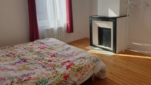 Un dormitorio con cama, una chimenea pequeña y un tendedero.