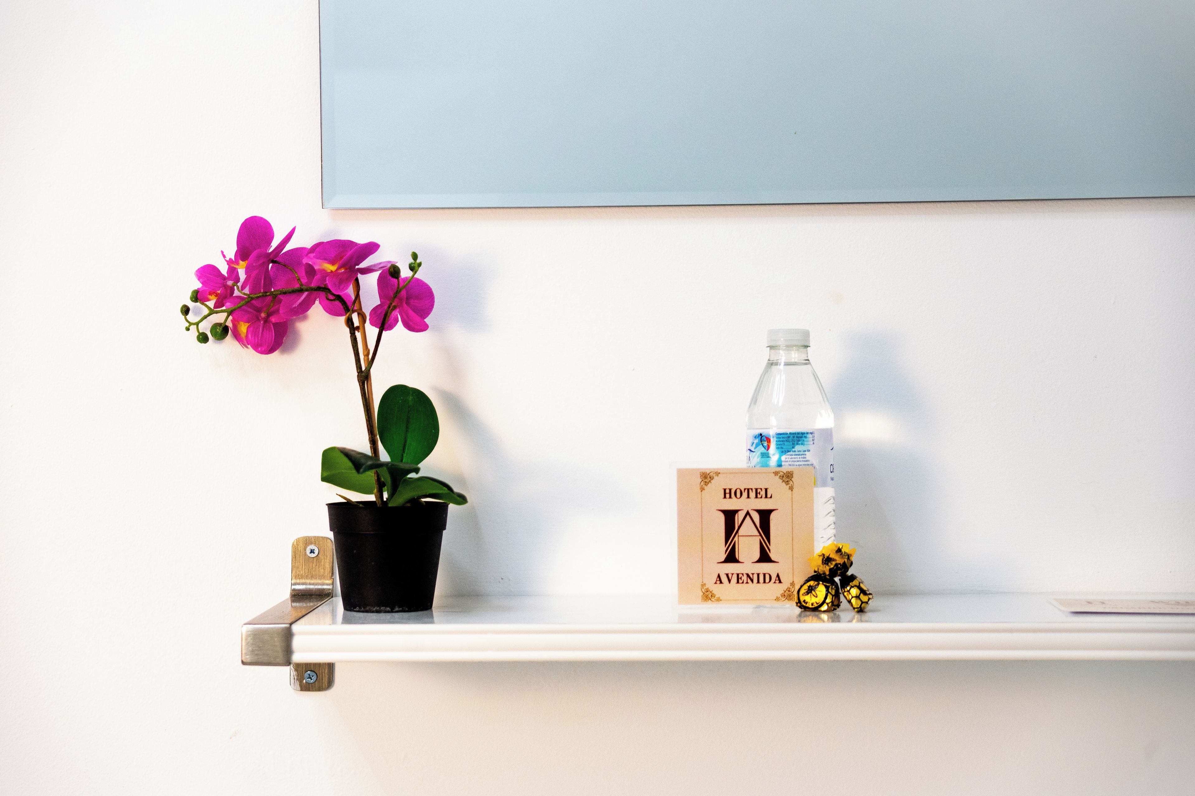 A shelf with a potted orchid, a water bottle, a hotel sign, and a small toy bicycle.