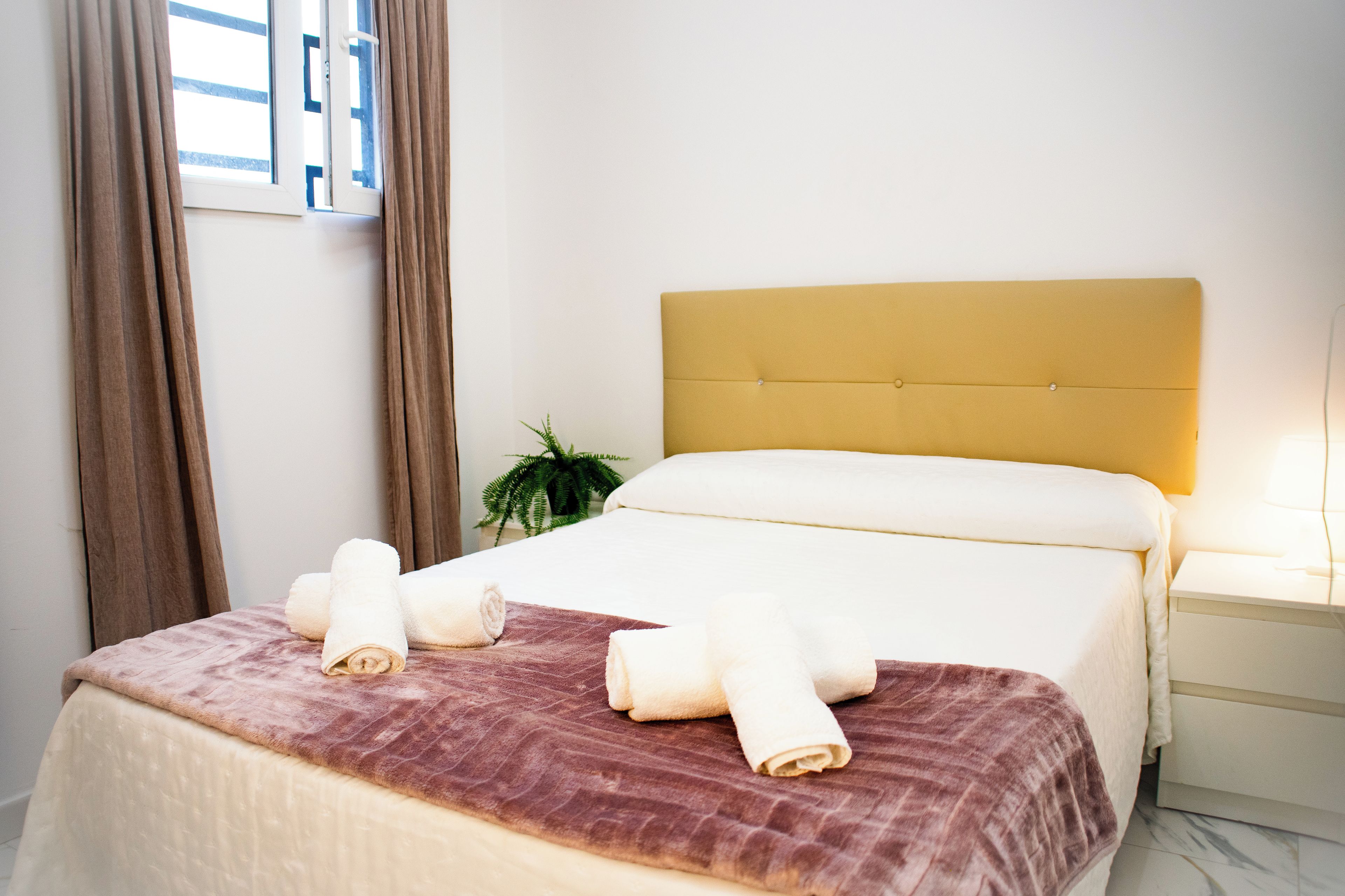 Una camera d'albergo con un letto, un comodino, una pianta in vaso e tende.