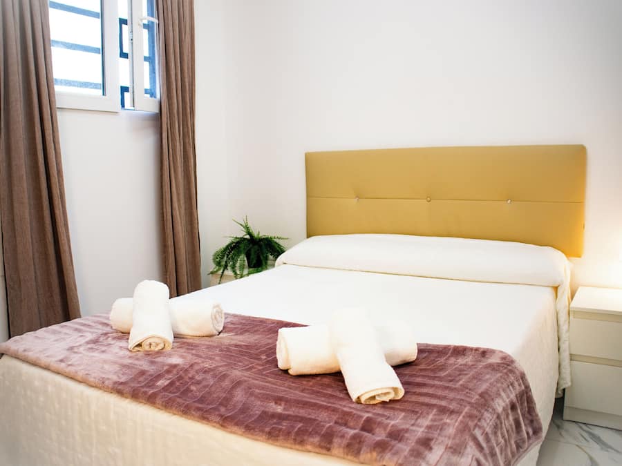 Una camera d'albergo con un letto, un comodino, una pianta in vaso e tende.