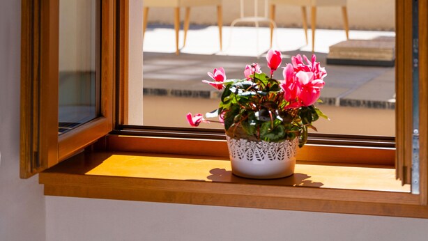 A window with a view of an outdoor patio area, including a table and chairs, and a potted plant with flowers. - Locanda Alberti (Mandello del Lario)