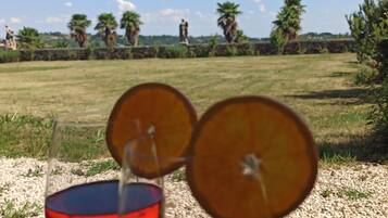 Two glasses of red beverage with a tropical fruit garnish on a table outdoors.