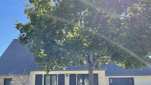 Ein Gebäude mit einer Steinauffahrt, schwarzen Fensterläden und einem großen Baum davor.