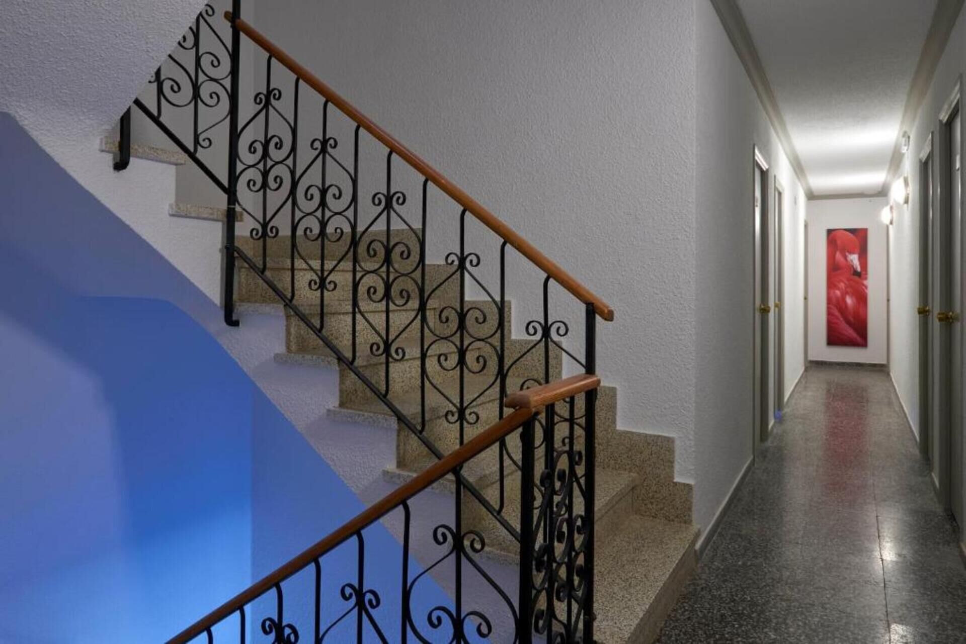 Foto - Hostal Flamingo by Nest