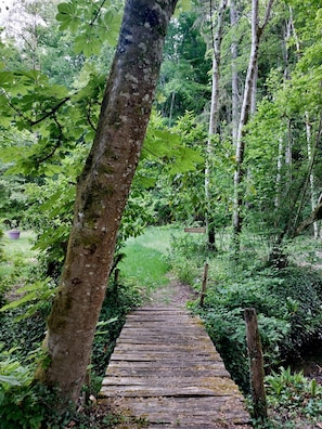 Jardí